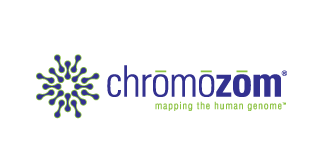 chromozom brand development